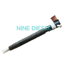 9308-625C Zawór Delphi Diesel Injector Common Rail 28236381 33800-4A700