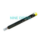 EJBR03301D Delphi Diesel Injector, Common Rail Injector Delphi For JMC