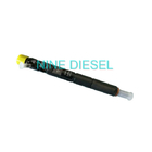 EJBR03301D Delphi Diesel Injector, Common Rail Injector Delphi For JMC